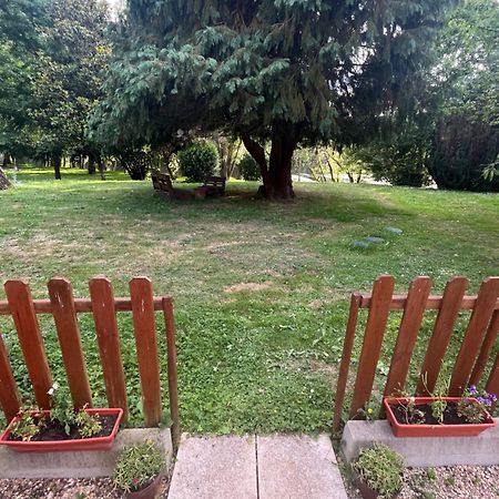 Logement Paisible En Bord De Vienne Bonneuil-Matours Dış mekan fotoğraf