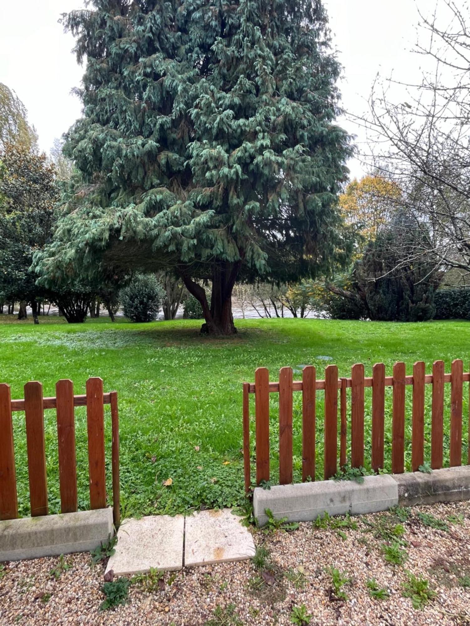 Logement Paisible En Bord De Vienne Bonneuil-Matours Dış mekan fotoğraf