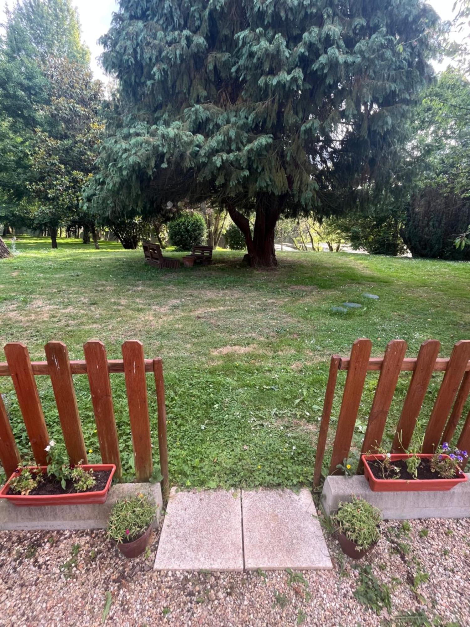 Logement Paisible En Bord De Vienne Bonneuil-Matours Dış mekan fotoğraf