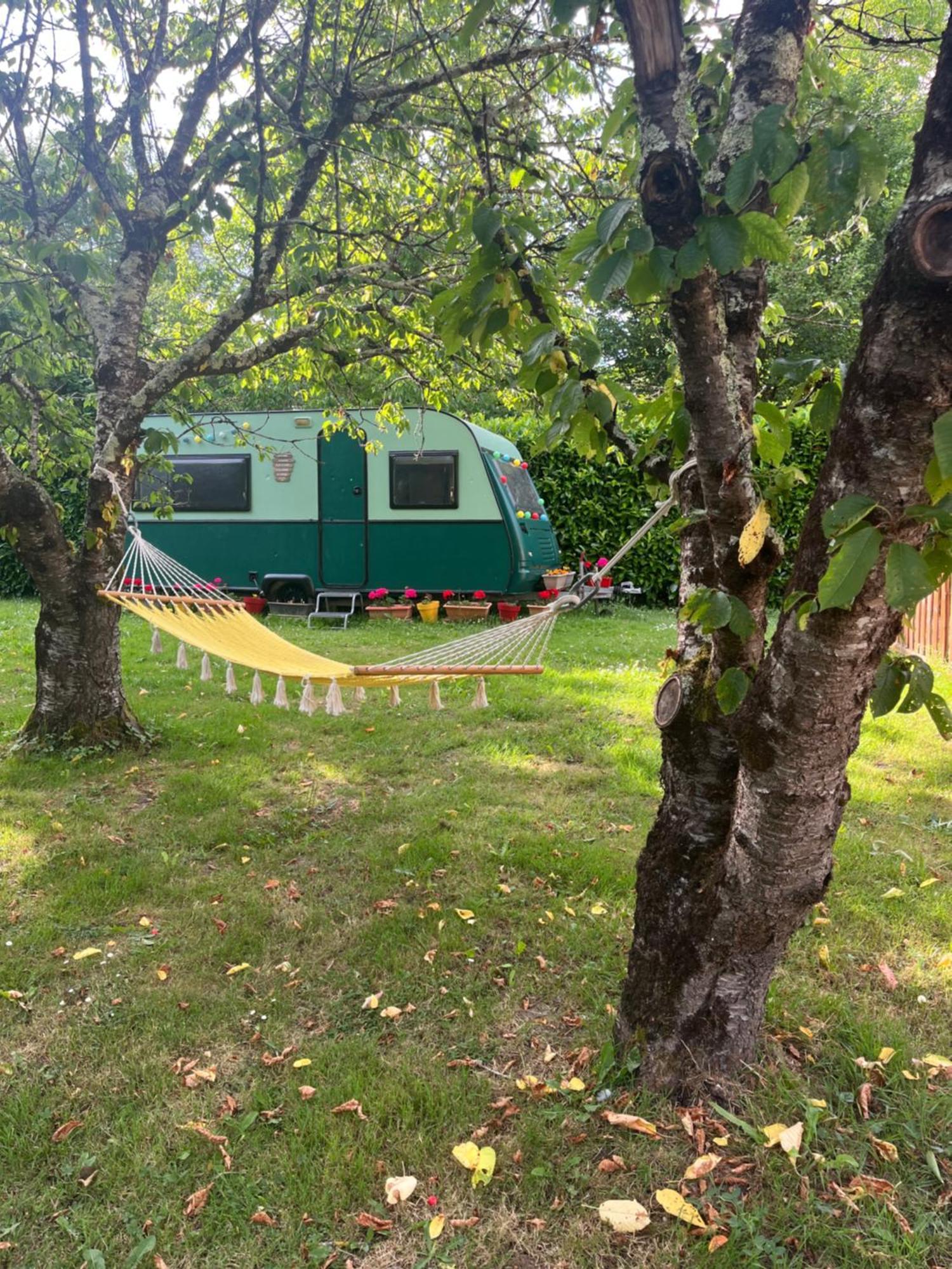 Logement Paisible En Bord De Vienne Bonneuil-Matours Dış mekan fotoğraf